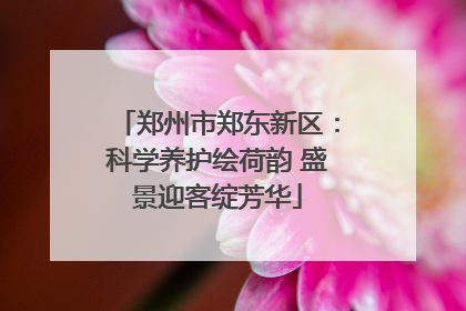 郑州市郑东新区：科学养护绘荷韵 盛景迎客绽芳华