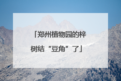 郑州植物园的梓树结“豆角”了