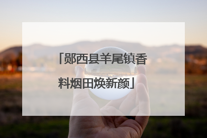 郧西县羊尾镇香料烟田焕新颜