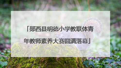 郧西县明德小学教联体青年教师素养大赛圆满落幕