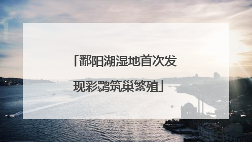 鄱阳湖湿地首次发现彩鹮筑巢繁殖