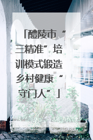醴陵市“三精准”培训模式锻造乡村健康“守门人”