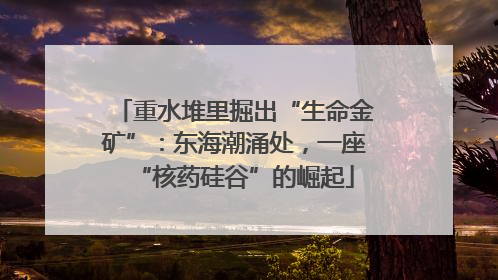 重水堆里掘出“生命金矿”：东海潮涌处，一座“核药硅谷”的崛起