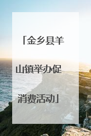 金乡县羊山镇举办促消费活动