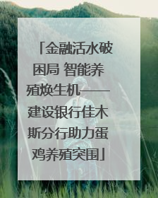 金融活水破困局 智能养殖焕生机——建设银行佳木斯分行助力蛋鸡养殖突围