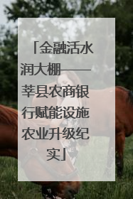 金融活水润大棚——莘县农商银行赋能设施农业升级纪实