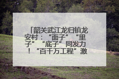 韶关武江龙归镇龙安村：“面子”“里子”“底子”同发力！“百千万工程”激活乡村新动能