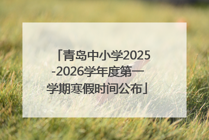 青岛中小学2025-2026学年度第一学期寒假时间公布