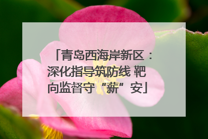 青岛西海岸新区：深化指导筑防线 靶向监督守“薪”安