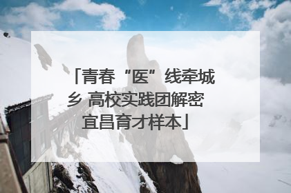 青春“医”线牵城乡 高校实践团解密宜昌育才样本