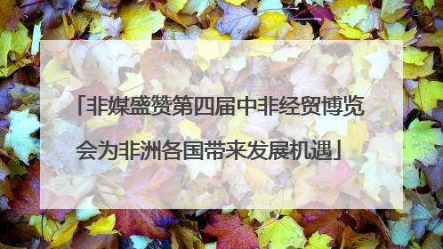 非媒盛赞第四届中非经贸博览会为非洲各国带来发展机遇