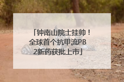 钟南山院士挂帅！全球首个抗甲流PB2新药获批上市