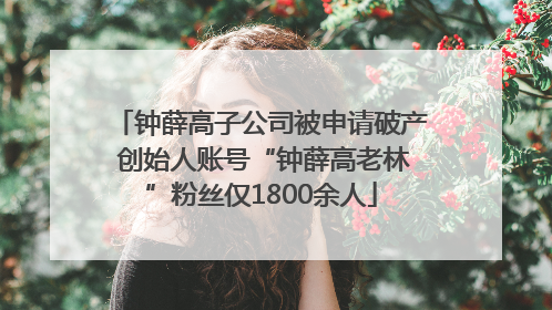 钟薛高子公司被申请破产 创始人账号“钟薛高老林”粉丝仅1800余人