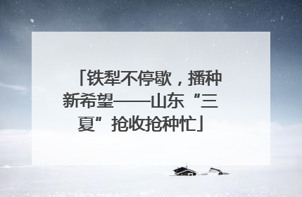 铁犁不停歇，播种新希望——山东“三夏”抢收抢种忙