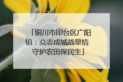 铜川市印台区广阳镇：众志成城战旱情 守护农田保民生