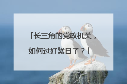长三角的党政机关，如何过好紧日子？