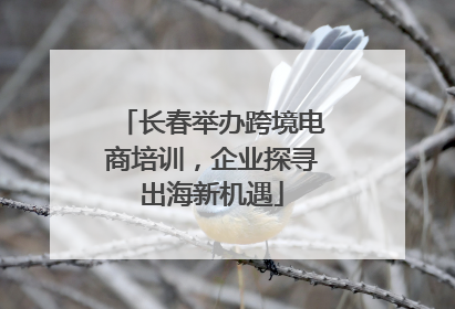 长春举办跨境电商培训，企业探寻出海新机遇