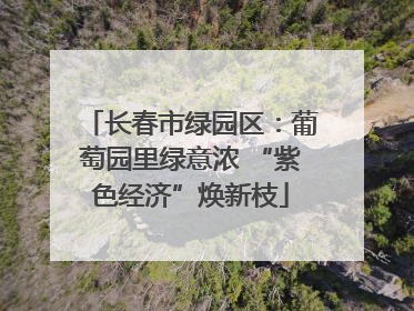 长春市绿园区：葡萄园里绿意浓 “紫色经济”焕新枝