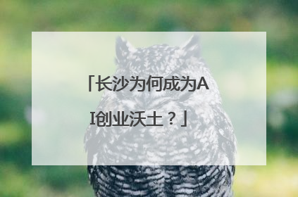 长沙为何成为AI创业沃土？