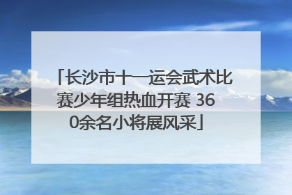 长沙市十一运会武术比赛少年组热血开赛 360余名小将展风采