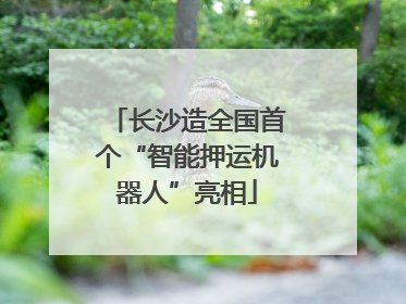 长沙造全国首个“智能押运机器人”亮相
