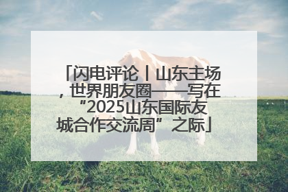 闪电评论丨山东主场，世界朋友圈——写在“2025山东国际友城合作交流周”之际