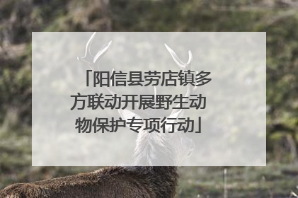 阳信县劳店镇多方联动开展野生动物保护专项行动