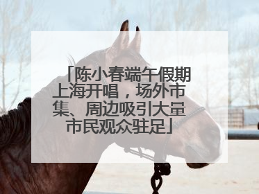 陈小春端午假期上海开唱，场外市集、周边吸引大量市民观众驻足
