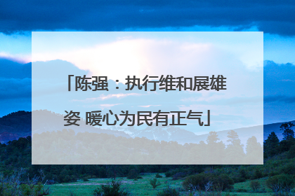 陈强：执行维和展雄姿 暖心为民有正气
