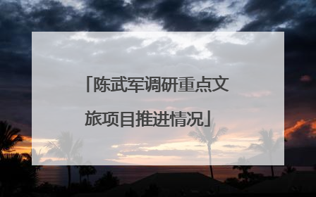 陈武军调研重点文旅项目推进情况