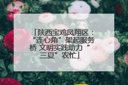 陕西宝鸡凤翔区：“连心角”架起服务桥 文明实践助力“三夏”农忙