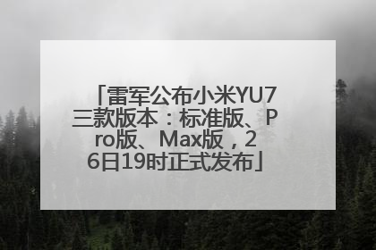 雷军公布小米YU7三款版本：标准版、Pro版、Max版，26日19时正式发布
