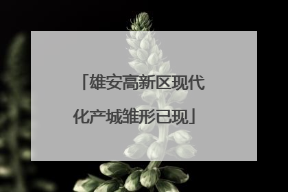 雄安高新区现代化产城雏形已现