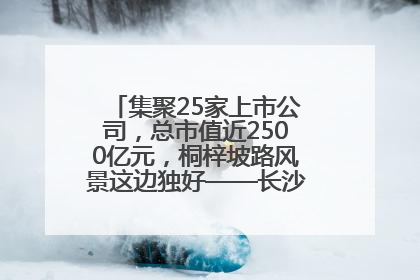 集聚25家上市公司，总市值近2500亿元，桐梓坡路风景这边独好——长沙有条“上市路”