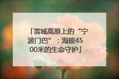雪域高原上的“宁波门巴”：海拔4500米的生命守护