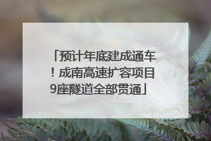 预计年底建成通车！成南高速扩容项目9座隧道全部贯通