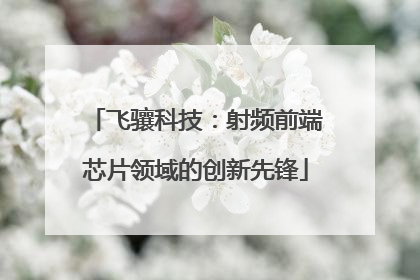 飞骧科技：射频前端芯片领域的创新先锋