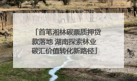 首笔湘林碳票质押贷款落地 湖南探索林业碳汇价值转化新路径