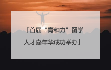 首届“青和力”留学人才嘉年华成功举办