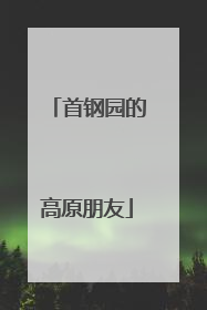 首钢园的高原朋友