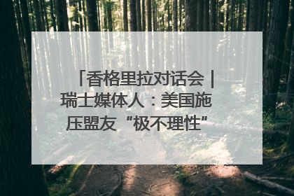 香格里拉对话会｜瑞士媒体人：美国施压盟友“极不理性” 欧洲国家无意与中国“脱钩断链”