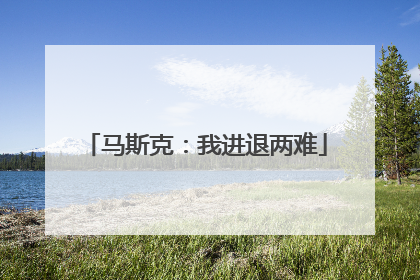 马斯克：我进退两难
