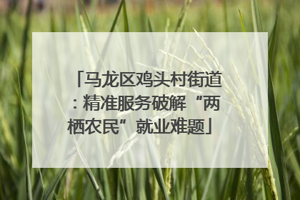 马龙区鸡头村街道：精准服务破解“两栖农民”就业难题