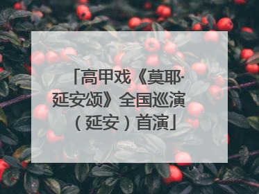 高甲戏《莫耶·延安颂》全国巡演（延安）首演