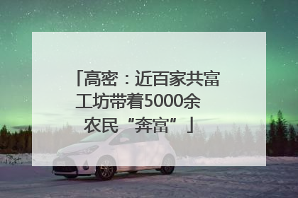 高密：近百家共富工坊带着5000余农民“奔富”