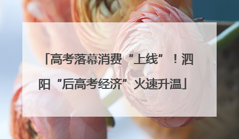 高考落幕消费“上线”！泗阳“后高考经济”火速升温