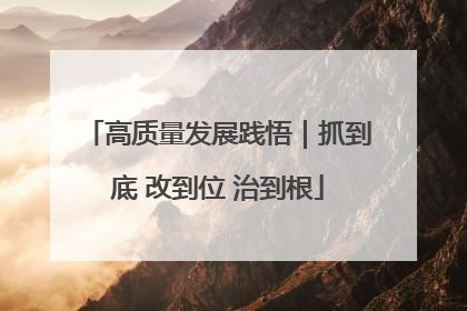 高质量发展践悟｜抓到底 改到位 治到根