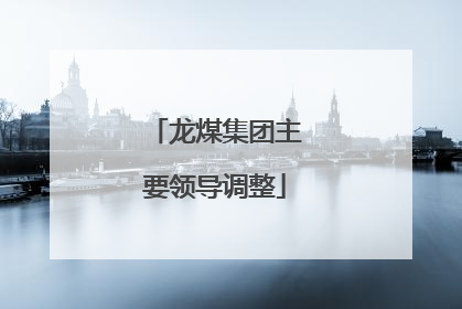龙煤集团主要领导调整