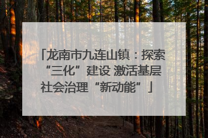 龙南市九连山镇：探索“三化”建设 激活基层社会治理“新动能”