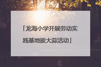 龙海小学开展劳动实践基地拔大蒜活动
